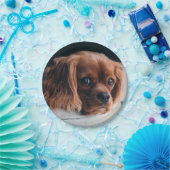 Assiettes En Carton Ruby Cavalier le roi Charles Spaniel (Fête)
