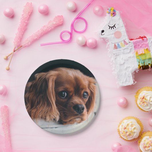 Assiettes En Carton Ruby Cavalier le roi Charles Spaniel (Fête)