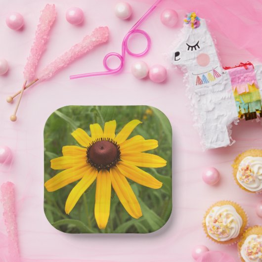 Assiettes En Carton Rudbeckia jaune vif Photographie Pique-nique (Fête)