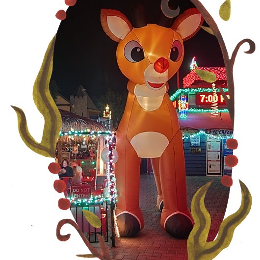 Assiettes En Carton Rudolph à Burgers By the Bridge