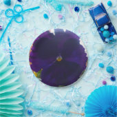 ASSIETTES EN CARTON S (Fête)