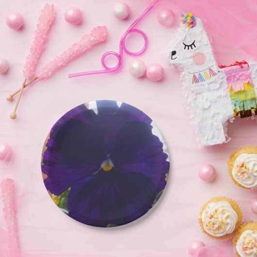 ASSIETTES EN CARTON S (Fête)