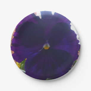 ASSIETTES EN CARTON S