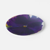 ASSIETTES EN CARTON S (Angle)