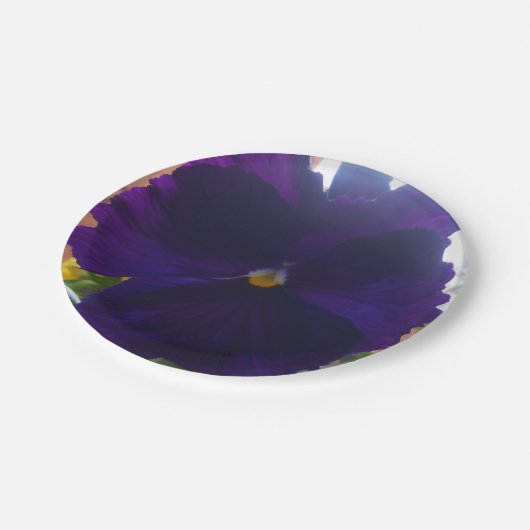 ASSIETTES EN CARTON S (Angle)