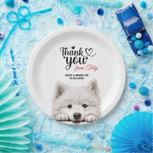 Assiettes En Carton Samoyed (Fête)