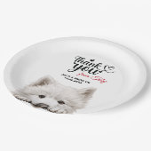 Assiettes En Carton Samoyed (Angle)