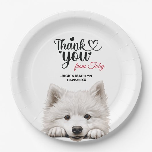 Assiettes En Carton Samoyed (Devant)