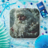 Assiettes En Carton Santa (Fête)