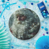 Assiettes En Carton Santa (Fête)