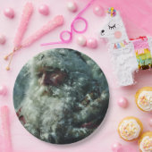 Assiettes En Carton Santa (Fête)