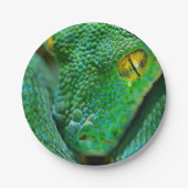 Assiettes En Carton Scène d'arbre (Devant)