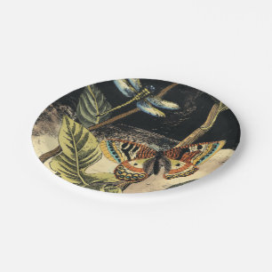 Assiettes En Carton Scène foncée de nature par le studio de vision