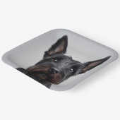 Assiettes En Carton Scottish Terrier (Angulaire)