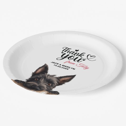 Assiettes En Carton Scottish Terrier (Angle)