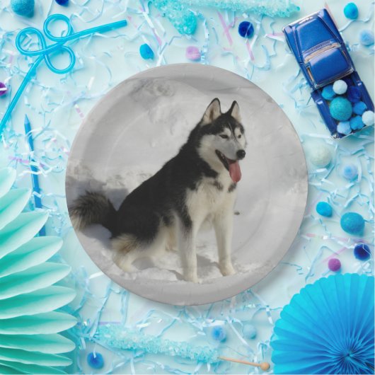 Assiettes En Carton séance sibérien-enrouée (Fête)