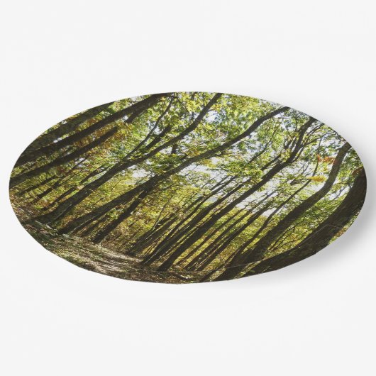 Assiettes En Carton Sentier des Appalaches en octobre à Shenandoah (Angle)