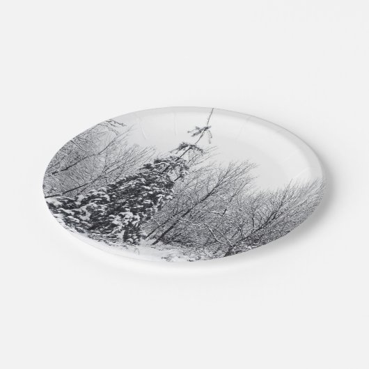 Assiettes En Carton séparation avec certitude (Angle)