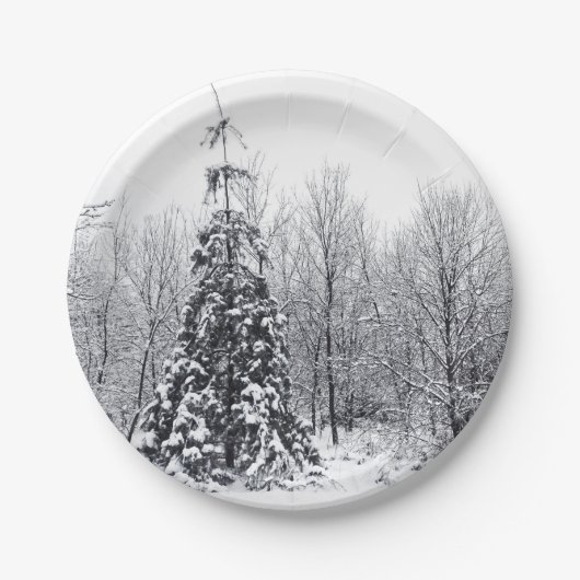 Assiettes En Carton séparation de l'incertitude (Devant)