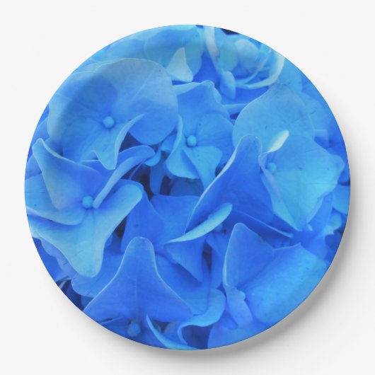 Assiettes En Carton Séraphine (Devant)