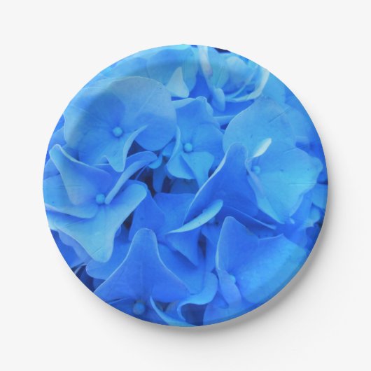 Assiettes En Carton Séraphine (Devant)