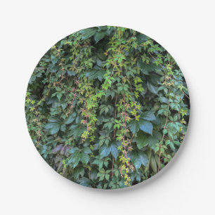 Assiettes En Carton Serene Green Ivy Wall Suspendre Vins Plantes Feuil
