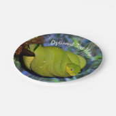 Assiettes En Carton Serpent de Boa Emerald Tree (Angle)