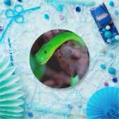 Assiettes En Carton Serpent de python (Fête)