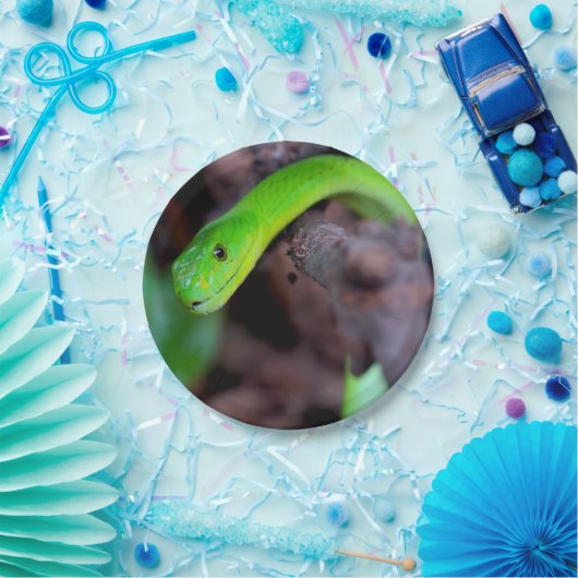 Assiettes En Carton Serpent de python (Fête)