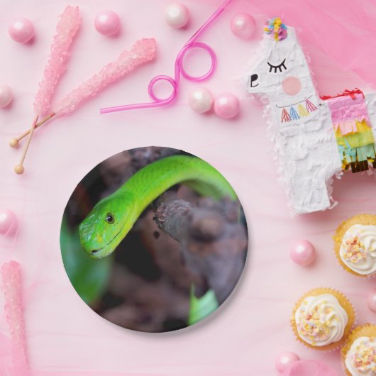 Assiettes En Carton Serpent de python (Fête)