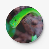 Assiettes En Carton Serpent de python (Devant)