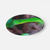 Assiettes En Carton Serpent de python (Angle)