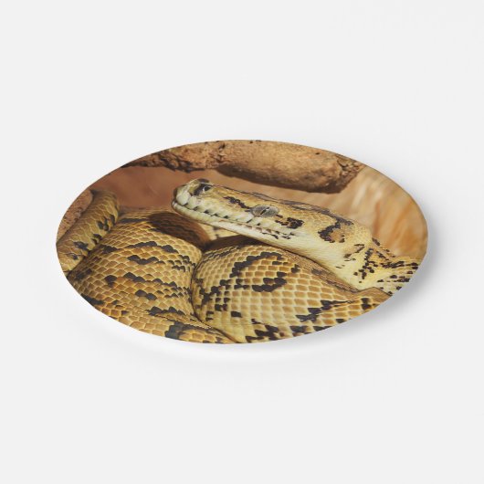 Assiettes En Carton Serpent python (Angle)