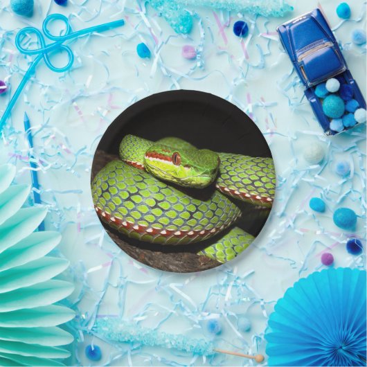 Assiettes En Carton Serpent vert pour des amants de reptile (Fête)
