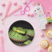 Assiettes En Carton Serpent vert pour des amants de reptile (Fête)