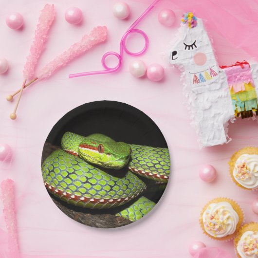 Assiettes En Carton Serpent vert pour des amants de reptile (Fête)