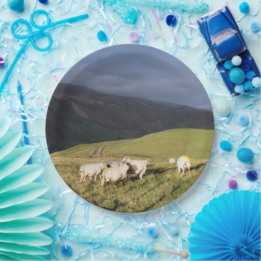 ASSIETTES EN CARTON SHEEP (Fête)