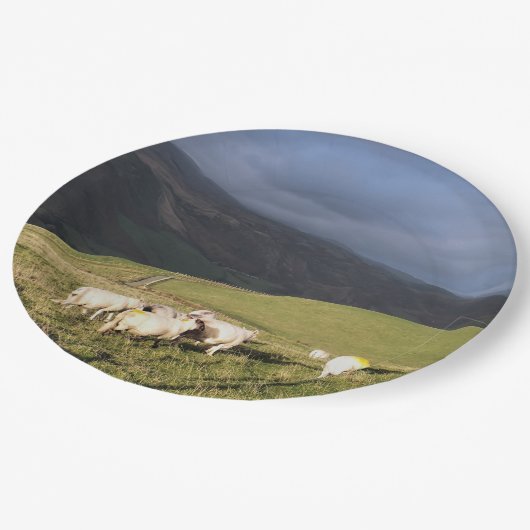 ASSIETTES EN CARTON SHEEP (Angle)