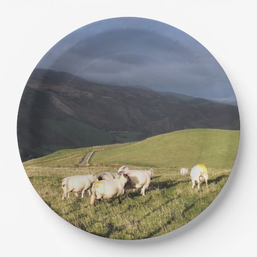 ASSIETTES EN CARTON SHEEP (Devant)