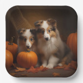 Assiettes En Carton Shetland Sheepdog Chiot Chiot Automne Citrouille d (Recto)