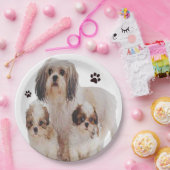 Assiettes En Carton Shih-tsu (Fête)