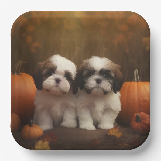 Assiettes En Carton Shih Tzu Puppy Automne Citrouille de plaisir (Recto)