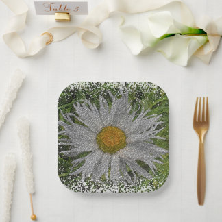Assiettes En Carton Show Me A Daisy #1