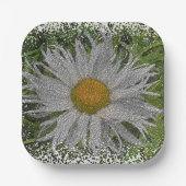 Assiettes En Carton Show Me A Daisy #1 (Recto)