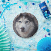 Assiettes En Carton Sibérien Husky (Fête)