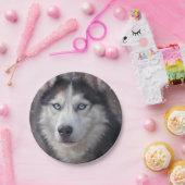 Assiettes En Carton Sibérien Husky (Fête)