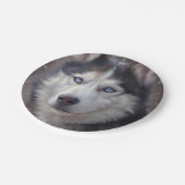 Assiettes En Carton Sibérien Husky (Angle)