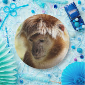 ASSIETTES EN CARTON SINGES (Fête)