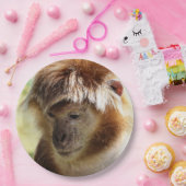 ASSIETTES EN CARTON SINGES (Fête)