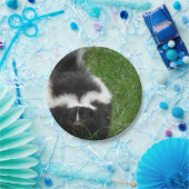 Assiettes En Carton skunk-2 (Fête)